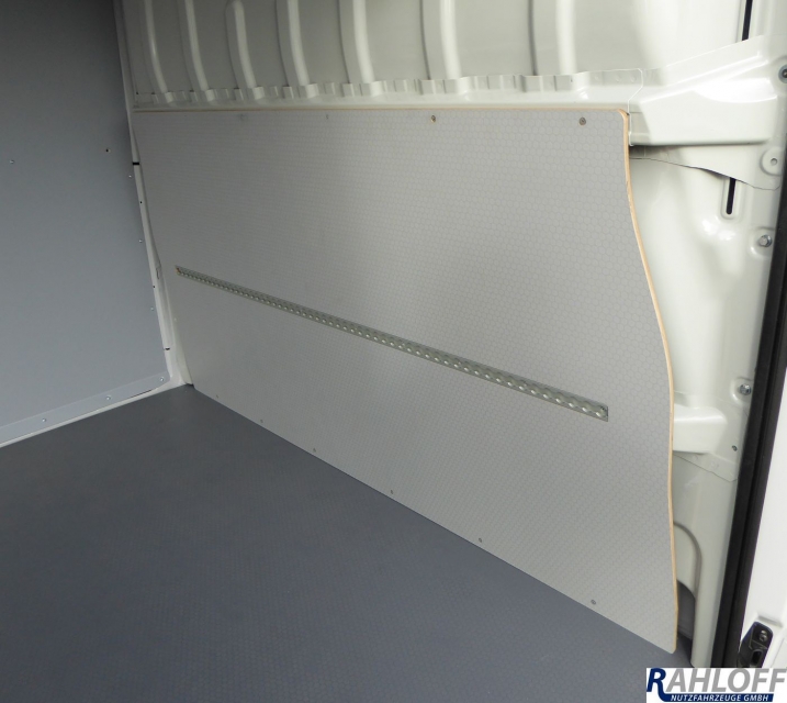 Fiat Ducato Trennwandschutz L2 - Ab 04/2006 - Typ 250